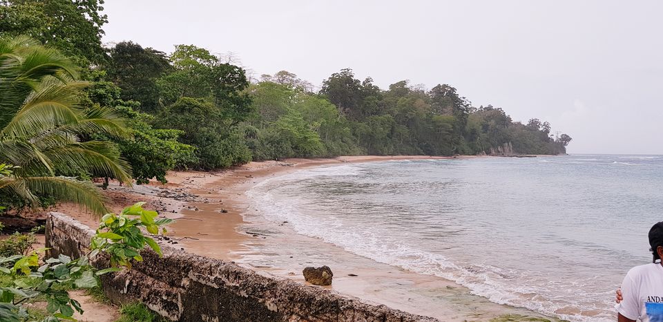 Photo of Andaman Part 2 - Blissful days at Neil Island and Port Blair by Richa Abhishek Rastogi