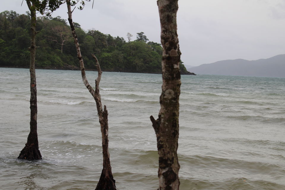 Photo of Andaman Part 2 - Blissful days at Neil Island and Port Blair by Richa Abhishek Rastogi