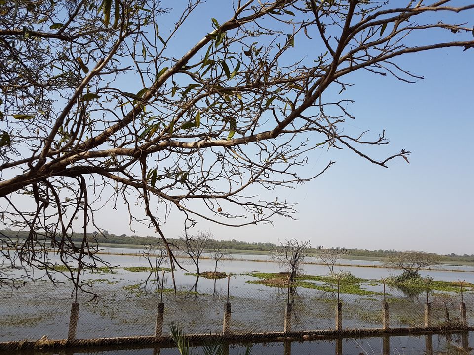 Photo of Van Vihar National Park Bhopal, Lake View Walk Path, Krishna Nagar, Shymala Hills, Bhopal, Madhya Pradesh, India by Gunjan Khandelwal