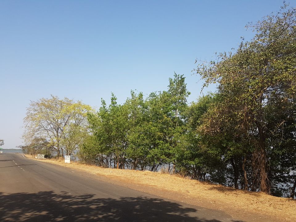 Photo of Van Vihar National Park Bhopal, Lake View Walk Path, Krishna Nagar, Shymala Hills, Bhopal, Madhya Pradesh, India by Gunjan Khandelwal
