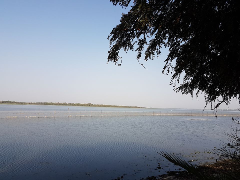 Photo of Van Vihar National Park Bhopal, Lake View Walk Path, Krishna Nagar, Shymala Hills, Bhopal, Madhya Pradesh, India by Gunjan Khandelwal
