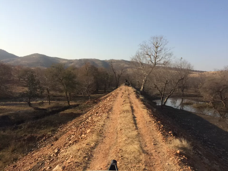 Photo of Ranthambore Tiger Reserve, Sawai Madhopur, Rajasthan, India by Anand Mitra
