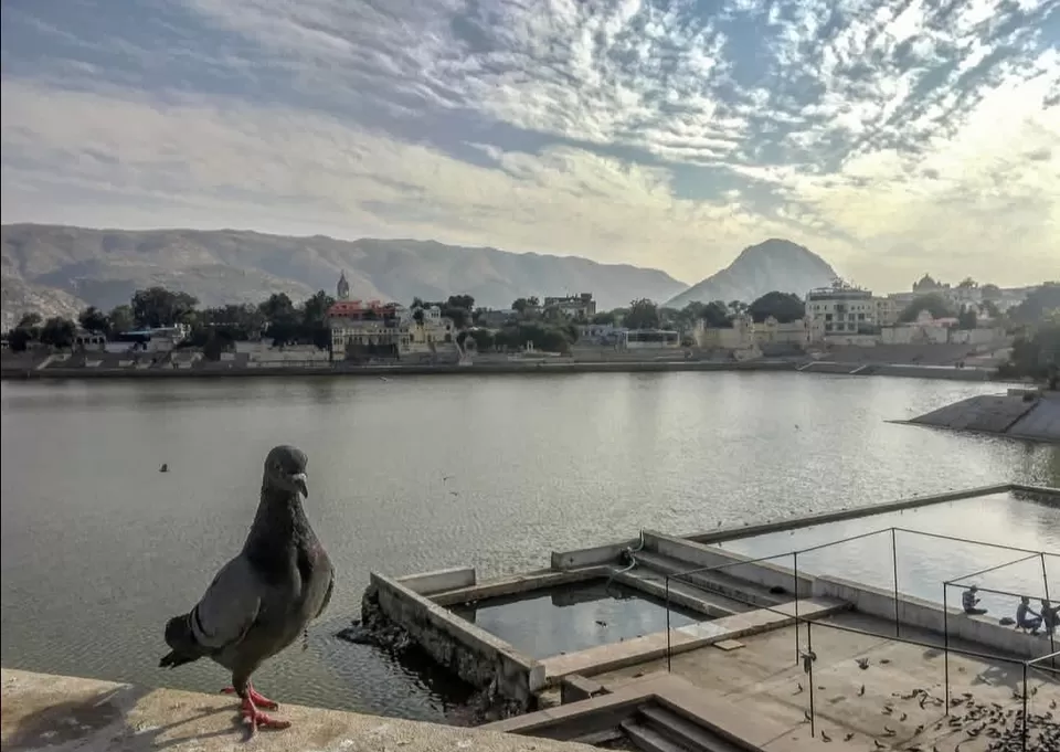 Photo of Pushkar, Rajasthan, India by Rachael Pereira