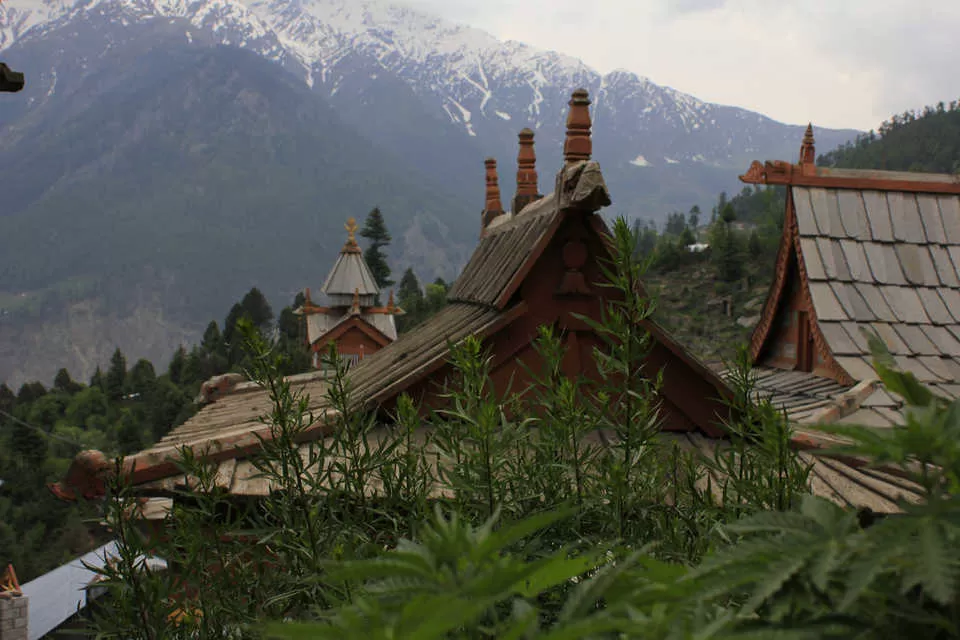 Photo of Kinnaur, Himachal Pradesh, India by Tripoto