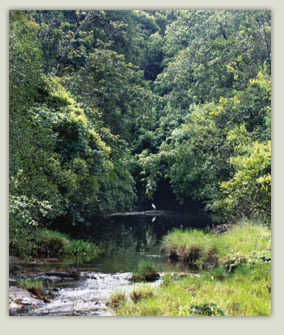 Photo of Sai Sanctuary, Badagarakeri, Karnataka, India by Tripoto