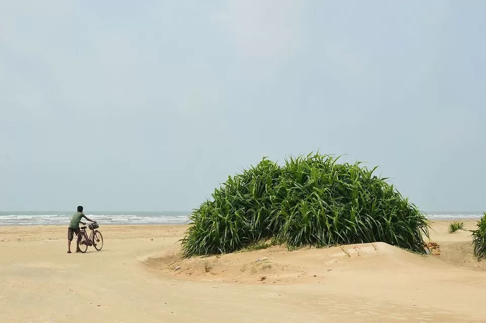 Photo of Tajpur, West Bengal, India by Saurav
