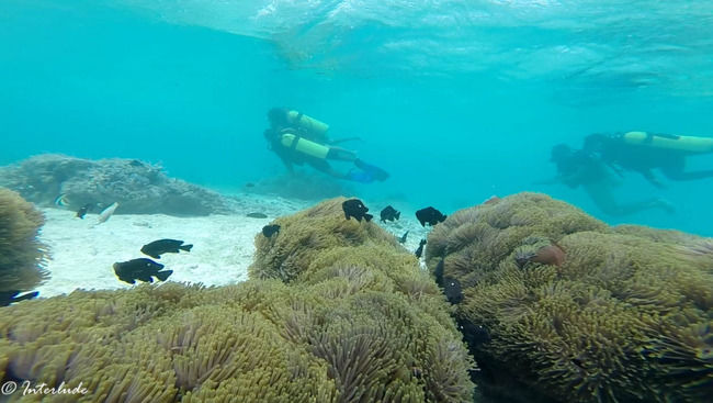 Photo of 10 reasons to have Lakshadweep in your Bucketlist by Sindhu