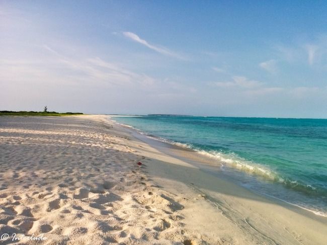 Photo of 10 reasons to have Lakshadweep in your Bucketlist by Sindhu