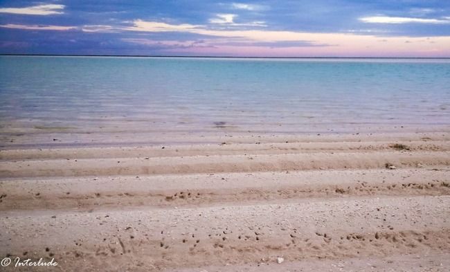 Photo of 10 reasons to have Lakshadweep in your Bucketlist by Sindhu