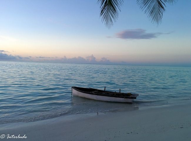 Photo of 10 reasons to have Lakshadweep in your Bucketlist by Sindhu