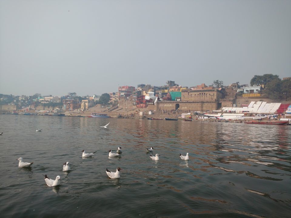 Photo of First Solo Trip - Spiritual Capital Varanasi - City of Lord Shiva and Holy Ganges by Anita Singh