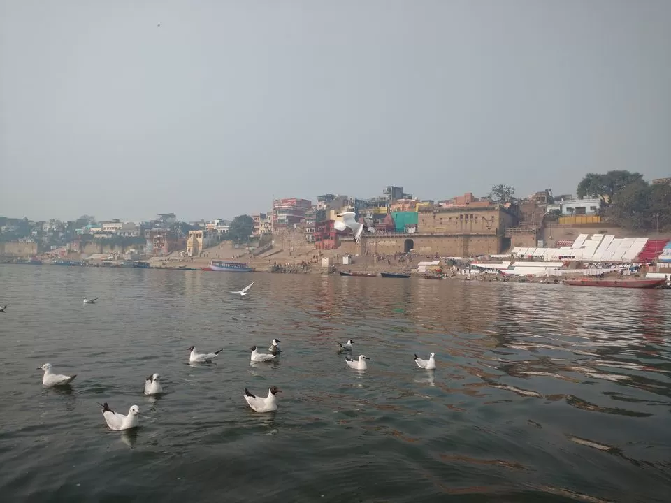 Photo of First Solo Trip - Spiritual Capital Varanasi - City of Lord Shiva and Holy Ganges by Anita Singh