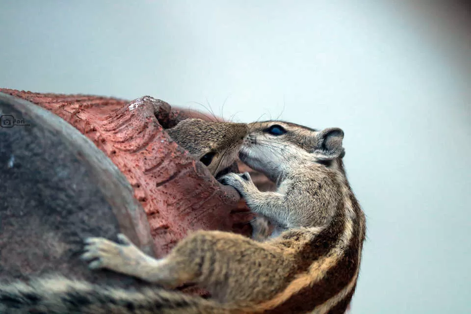 Photo of Sabarmati, Ahmedabad, Gujarat, India by Mouna Nanaiah