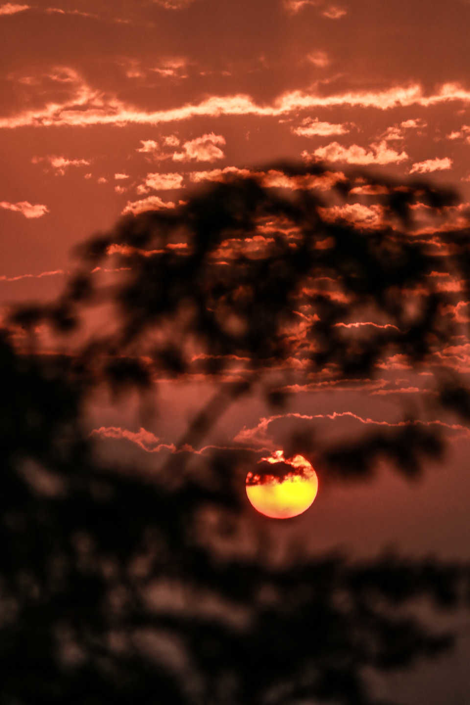 Photo of Kutch, Gujarat, India by Mouna Nanaiah