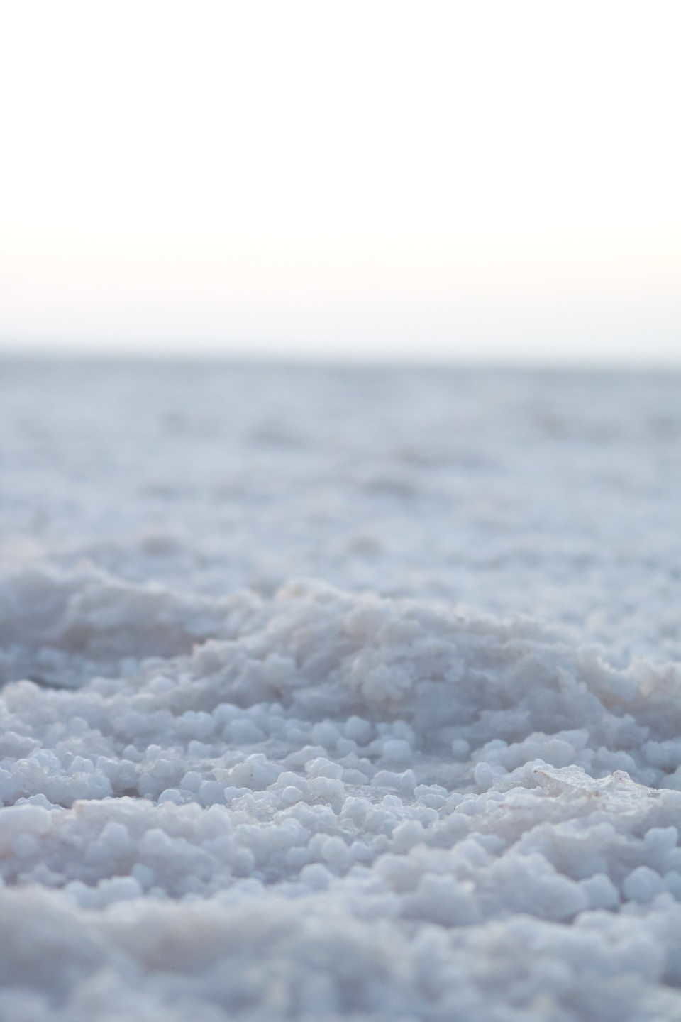 Photo of Kutch, Gujarat, India by Mouna Nanaiah