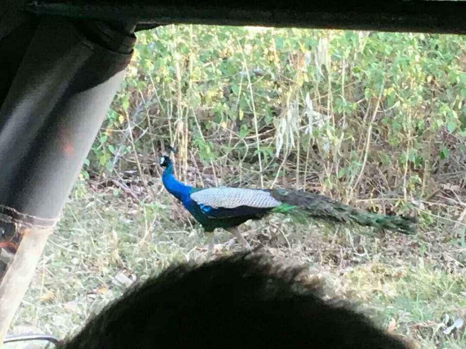Photo of Towards west, To Wayanad by Nandini Ramesh