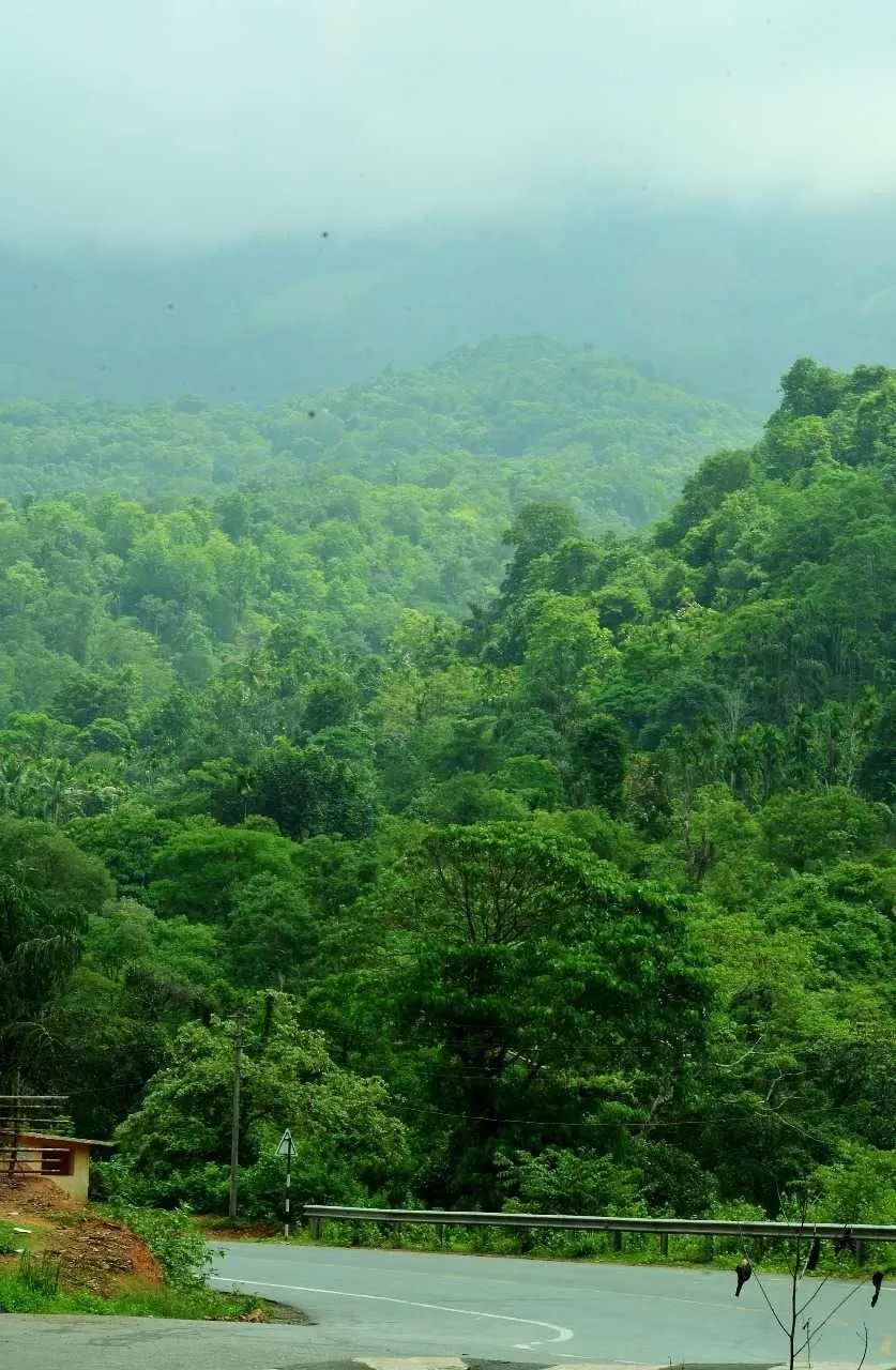 Photo of Coorg, Karnataka, India by Pria