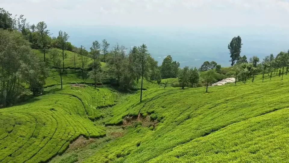 Photo of Ooty, Tamil Nadu, India by Munjal Desai