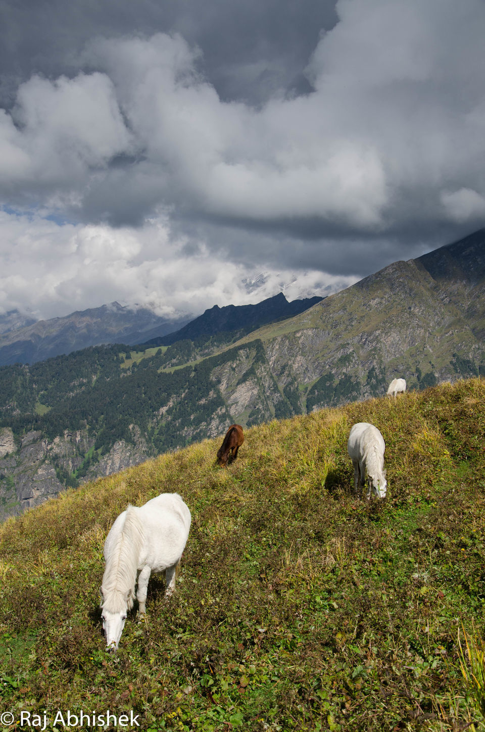 Photo of To 14,000 ft. and back: The Bhrigu Lake trek near Manali ! by Raj Abhishek