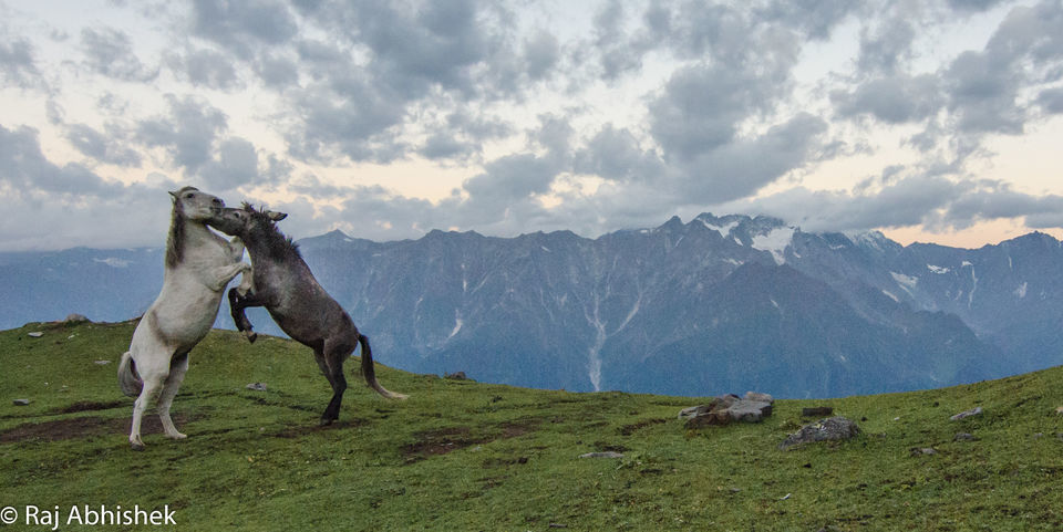 Photo of To 14,000 ft. and back: The Bhrigu Lake trek near Manali ! by Raj Abhishek