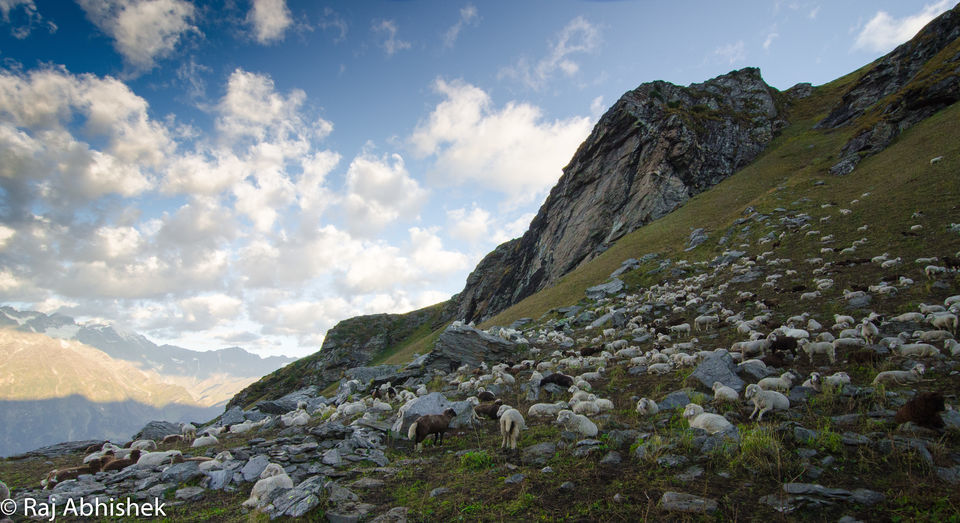 Photo of To 14,000 ft. and back: The Bhrigu Lake trek near Manali ! by Raj Abhishek