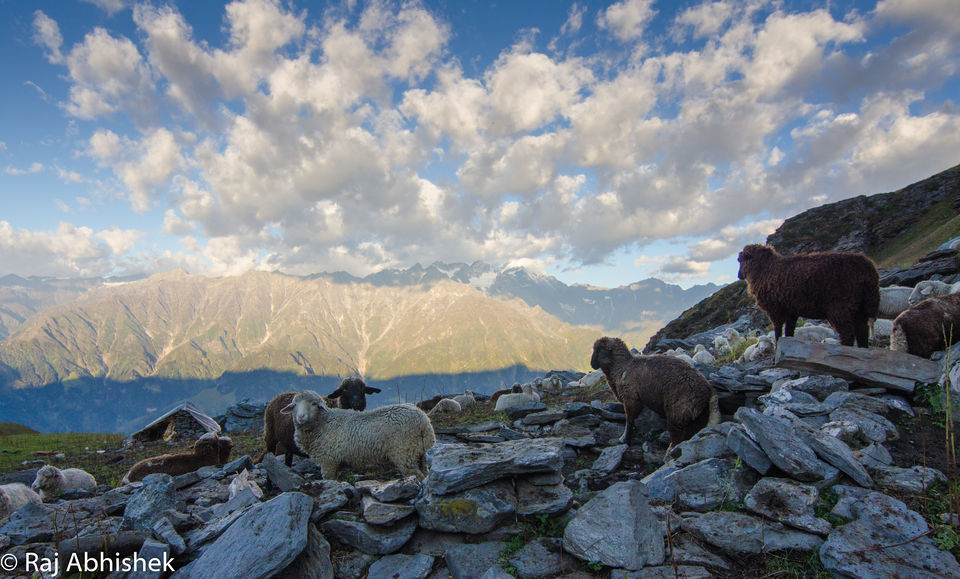 Photo of To 14,000 ft. and back: The Bhrigu Lake trek near Manali ! by Raj Abhishek