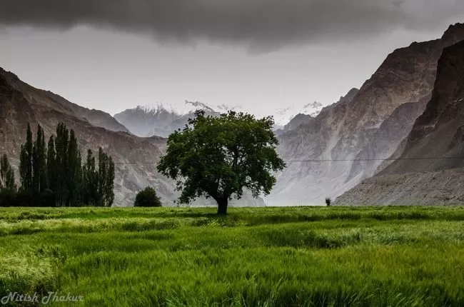 Photo of Turtuk by Nitish Thakur