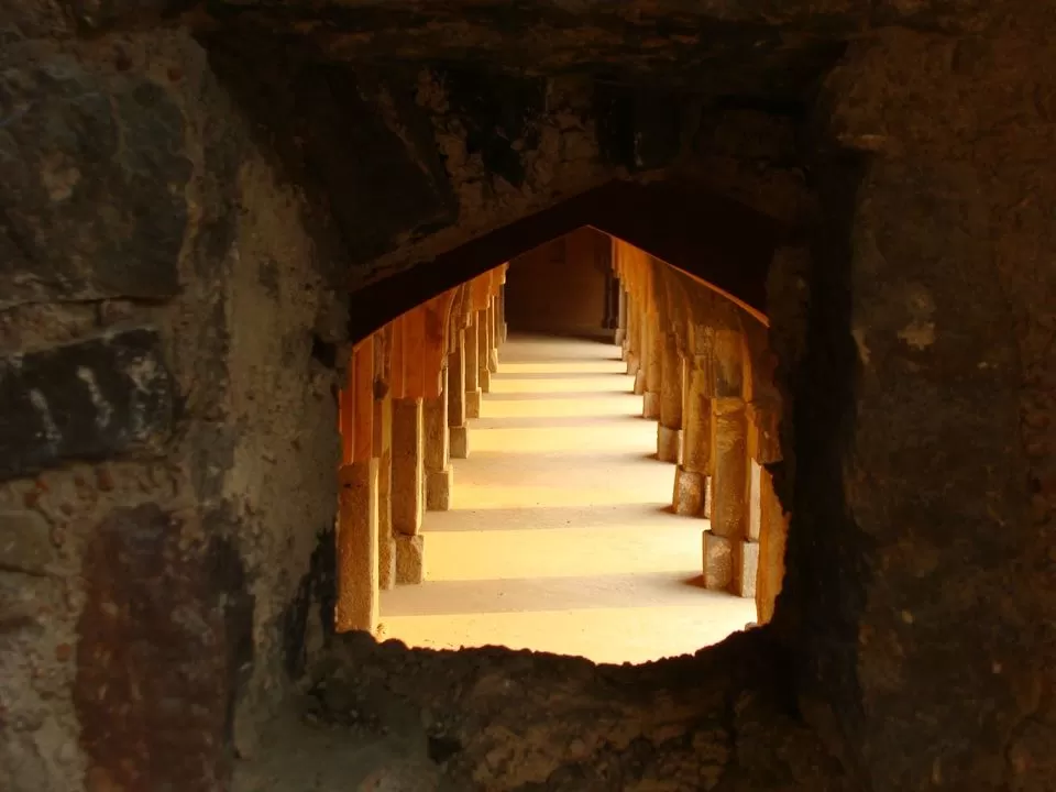 Photo of Jamali Kamali, Mehrauli Archeological Park Trail, Christian Colony, Mehrauli, New Delhi, Delhi, India by Maryam Yasmin