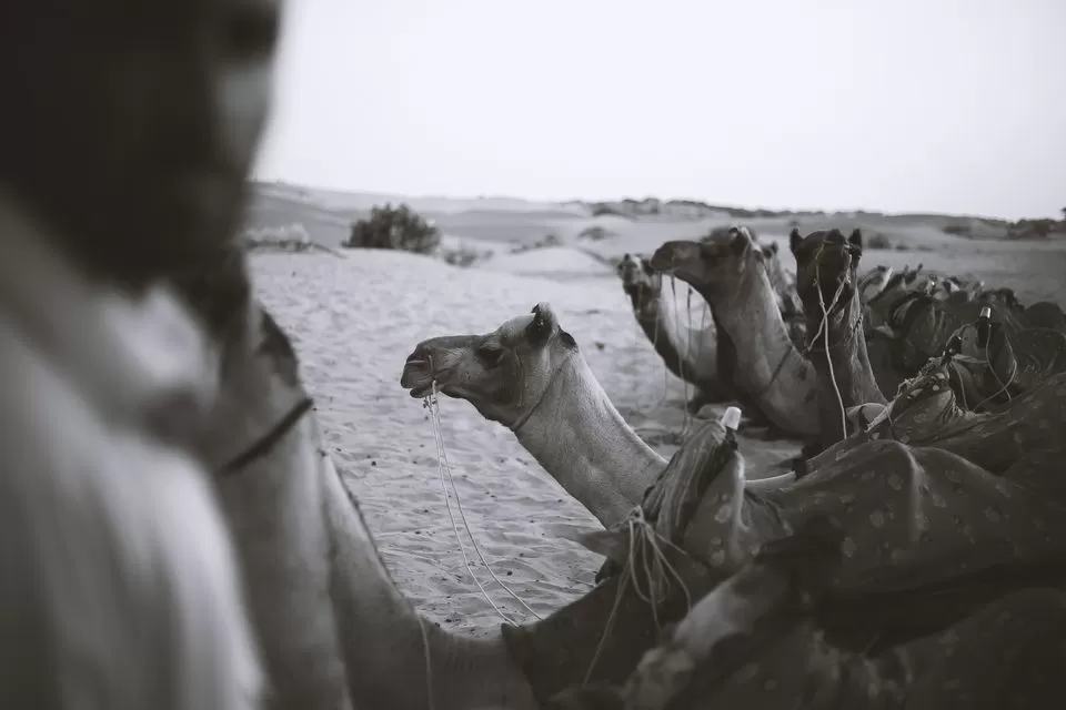 Photo of A night at the jewel of Jaisalmer - Sam Sand Dunes by Mouna Nanaiah