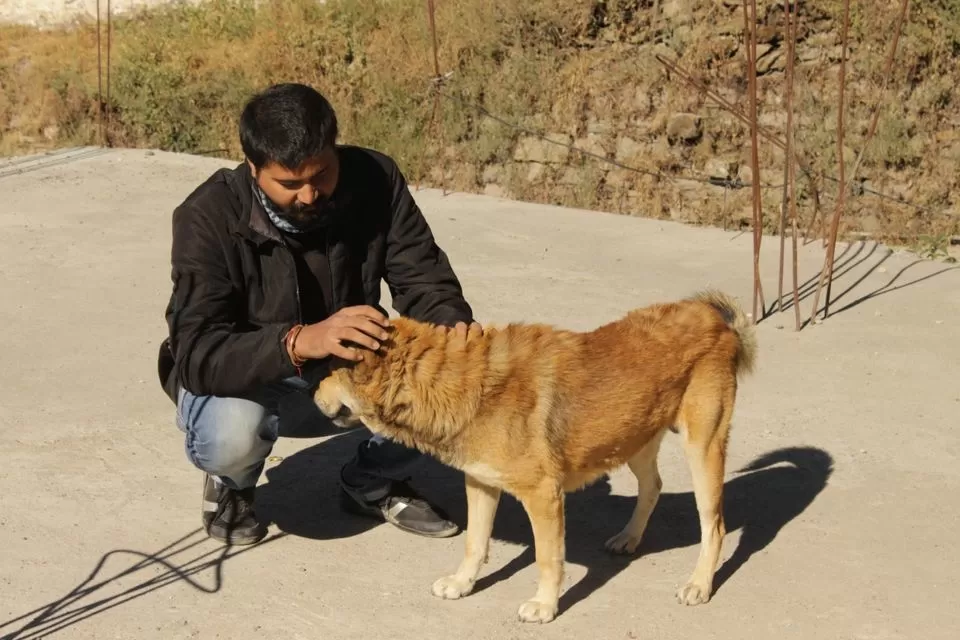Photo of Pangot, Uttarakhand, India by Akshansh Singh