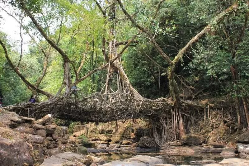Photo of Mawlynnong, Meghalaya, India by Richa Gupta