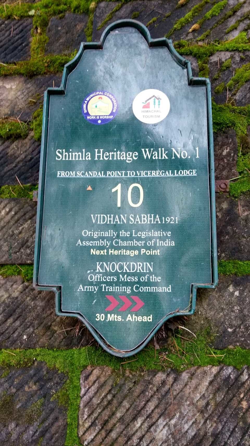 Photo of Weekend Trip to Majestic Shimla for running my first High altitude Half Marathon by Bhupender Singh