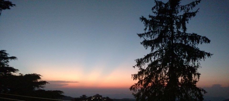 Photo of Weekend Trip to Majestic Shimla for running my first High altitude Half Marathon by Bhupender Singh