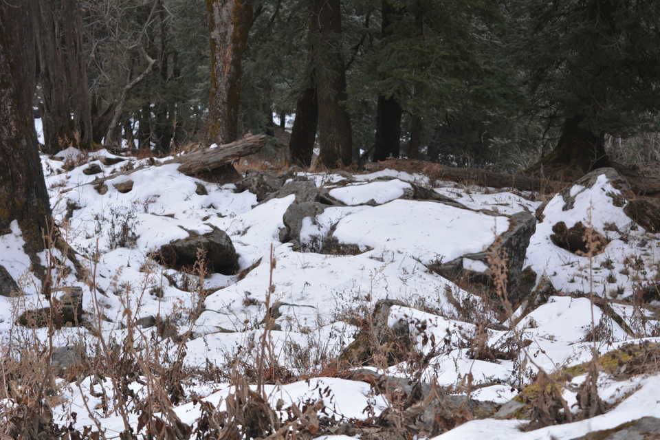 Photo of Truly A Queen Of Hills - Shimla by DevAshish Singh