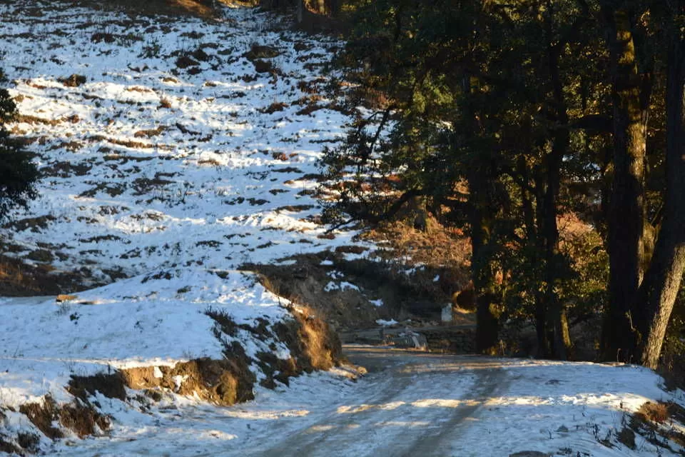 Photo of Truly A Queen Of Hills - Shimla by DevAshish Singh