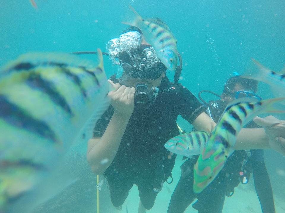 Photo of Kalpeni, Lakshadweep by Debarghyo Sengupta