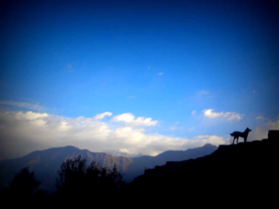 Photo of Uttarakhand, India by Harshita