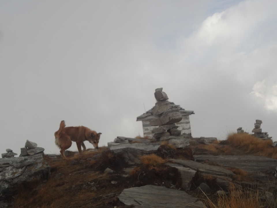 Photo of Uttarakhand, India by Harshita