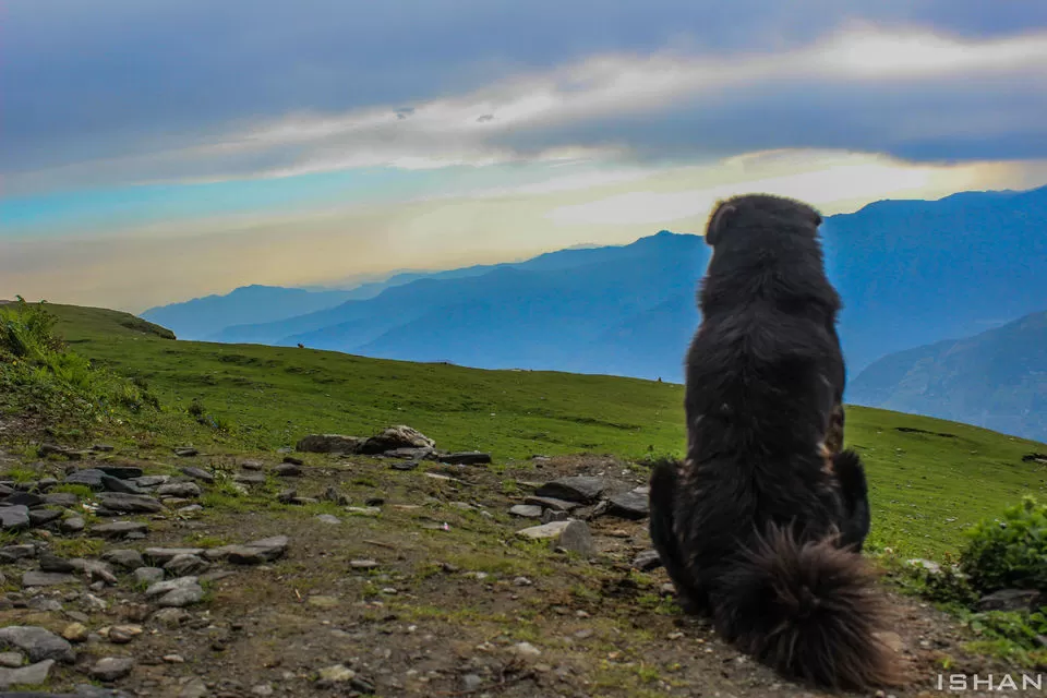 Photo of Tungnath, Rudraprayag, Uttarakhand, India by Ishan Patel