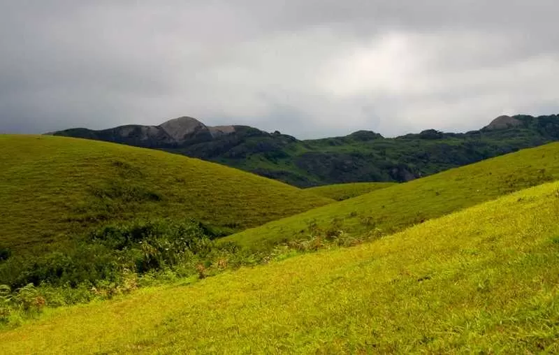 Photo of Vagamon, Kerala, India by Akhill N Menon