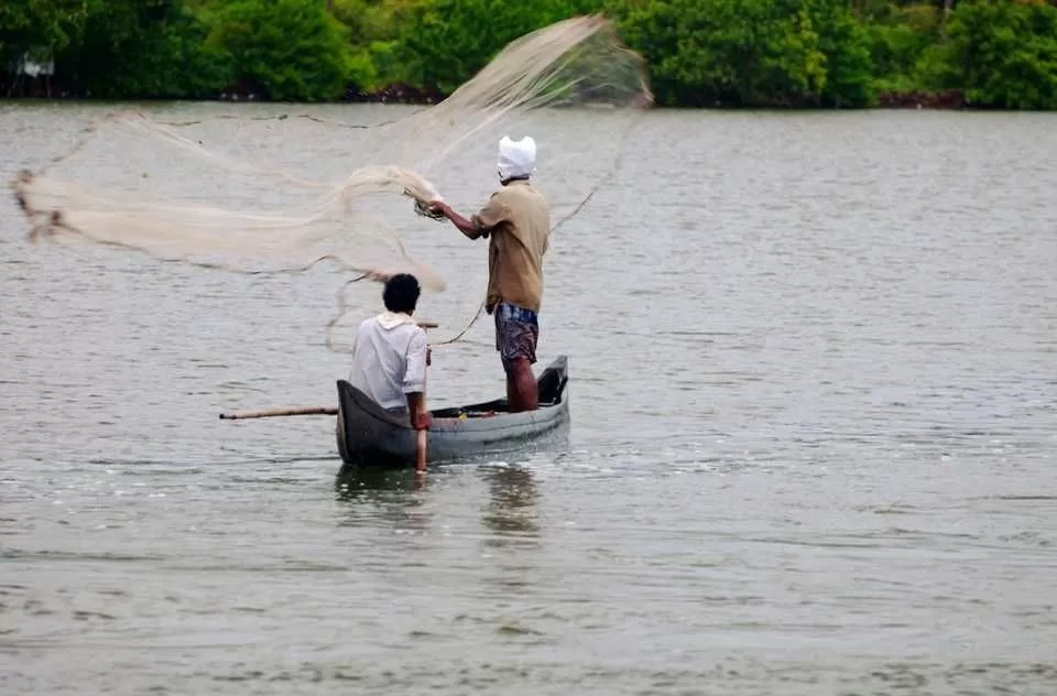 Photo of Alappuzha, Kerala, India by Akhill N Menon