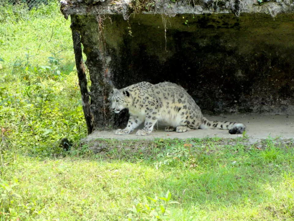 Photo of Gangtok, Sikkim, India by Shweta Modgil