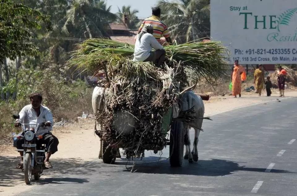 Photo of Karnataka, India by Purnima Singh