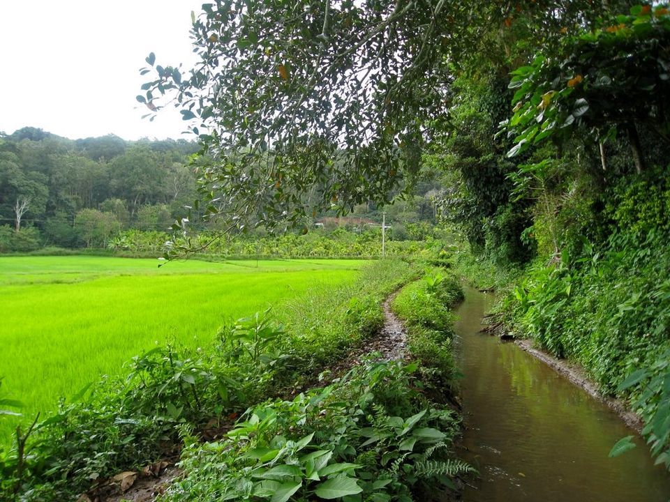 Photo of Karnataka, India by Purnima Singh