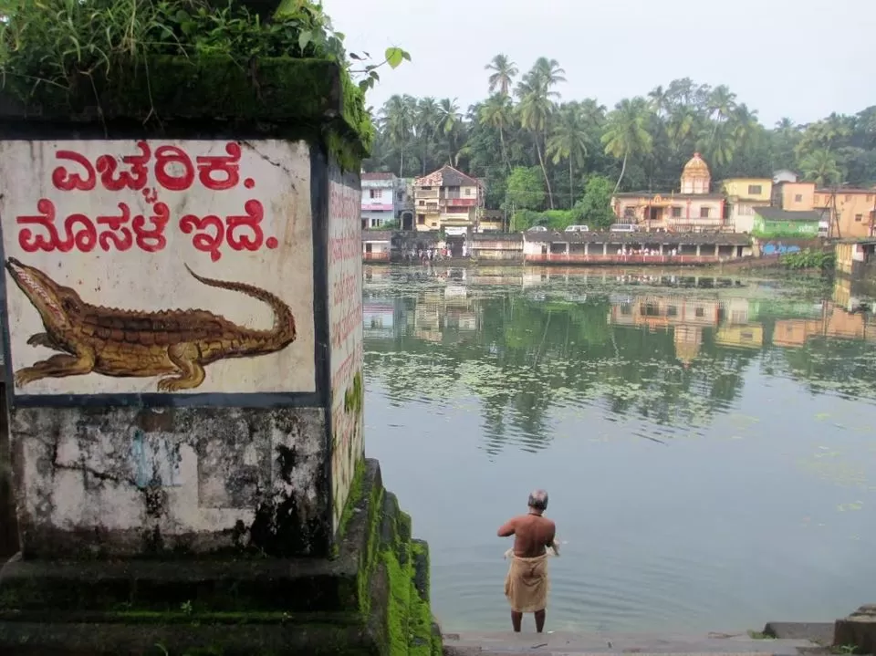 Photo of Karnataka, India by Purnima Singh