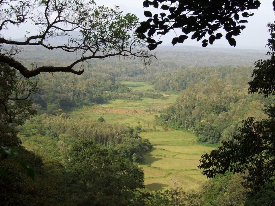 Photo of Karnataka, India by Purnima Singh