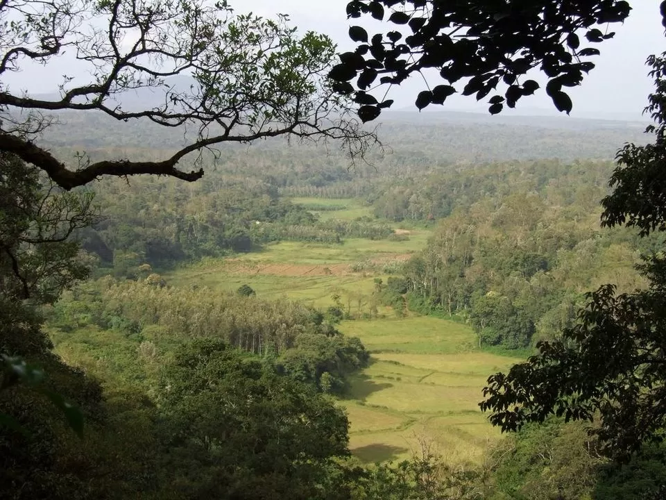 Photo of Karnataka, India by Purnima Singh