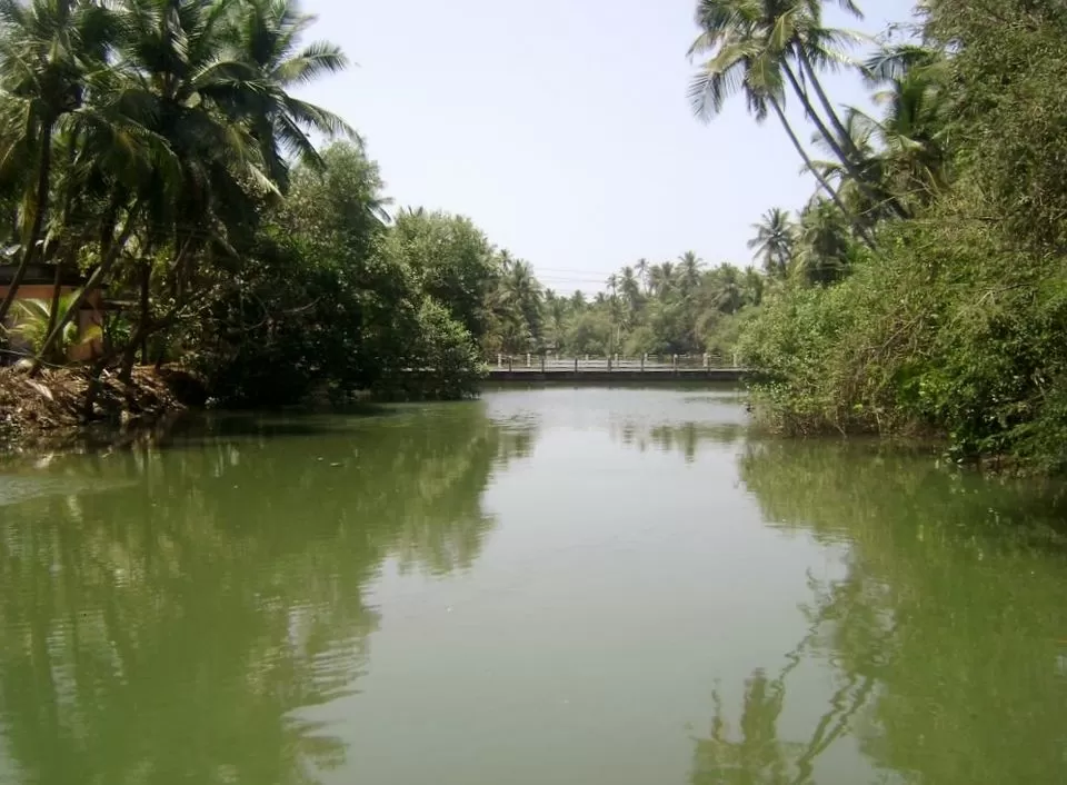 Photo of Karnataka, India by Purnima Singh