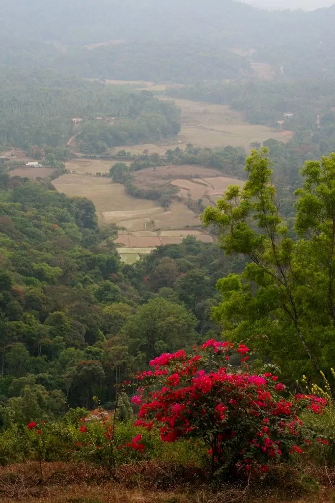 Photo of Karnataka, India by Purnima Singh