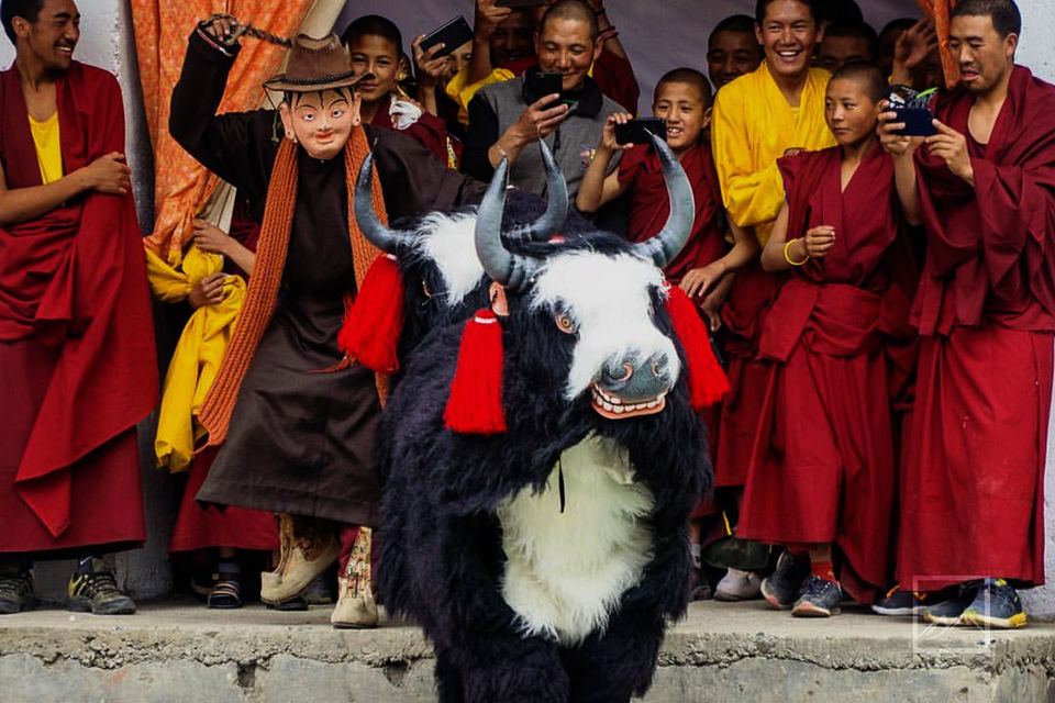 Photo of 6 Himalayan Festivals in the Coming Months You’ll Love Being Part Of! by Palak Doshi